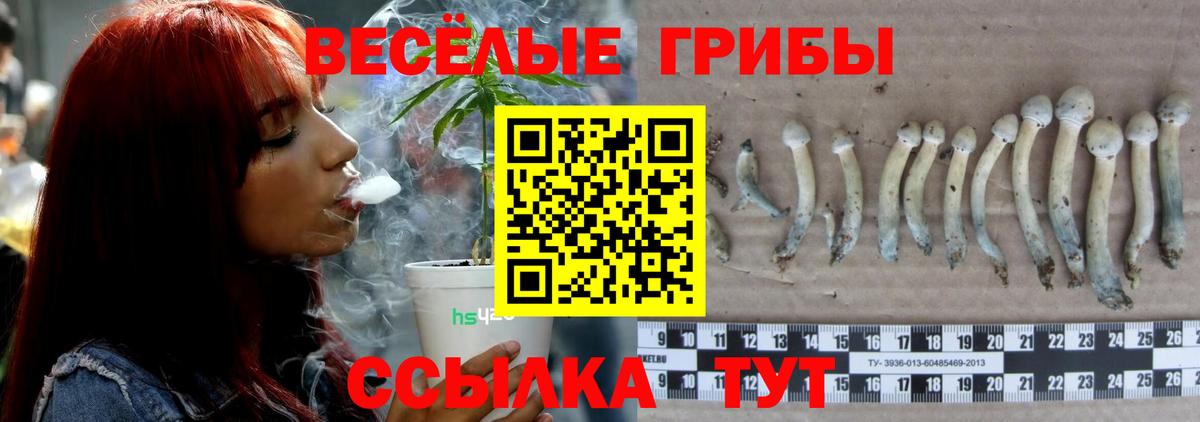 Галлюциногенные грибы Cubensis Клин